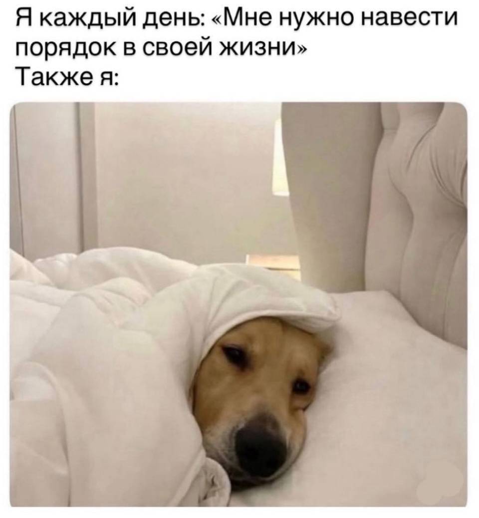 Я каждый день: «Мне нужно навести порядок в своей жизни».
Также я: