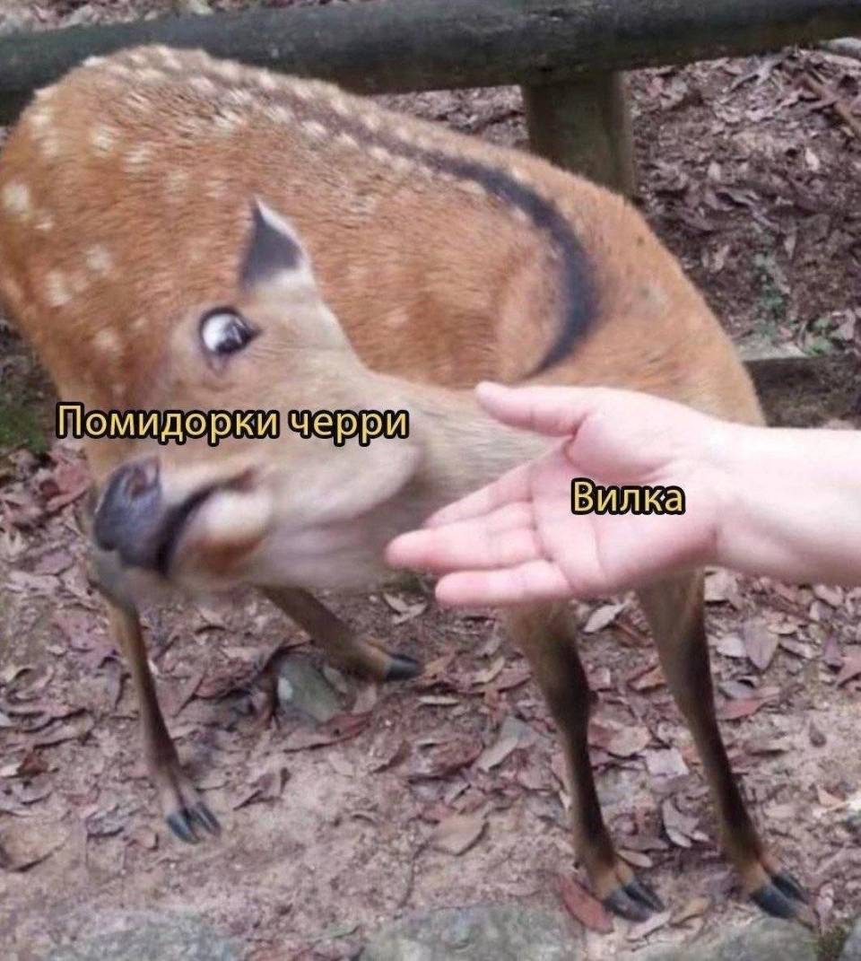 *Помидорки черри и вилка*