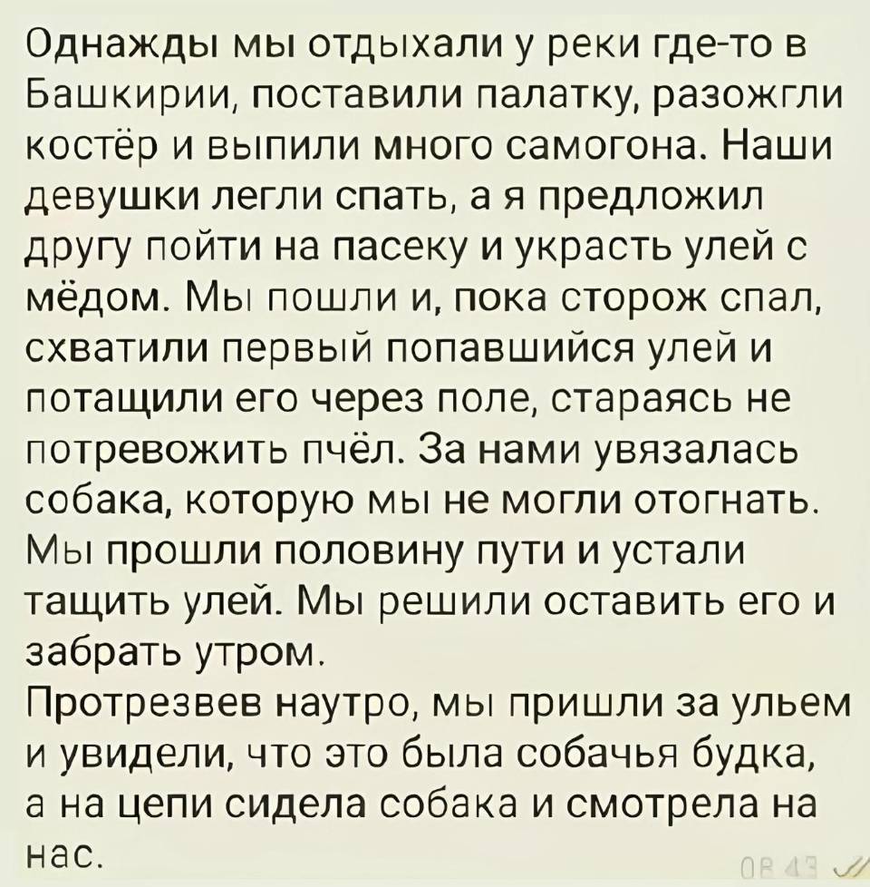 Однажды мы отдыхали у реки где-то в Башкирии, поставили палатку, разожгли костёр и выпили много самогона. Наши девушки легли спать, а я предложил другу пойти на пасеку и украсть улей с мёдом. Мы пошли и, пока сторож спал, схватили первый попавшийся улей и потащили его через поле, стараясь не потревожить пчёл. За нами увязалась собака, которую мы не могли отогнать. Мы прошли половину пути и устали тащить улей. Мы решили оставить его и забрать утром. Протрезвев наутро, мы пришли за ульем и увидели, что это была собачья будка, а на цепи сидела собака и смотрела на нас. | Алкоголь