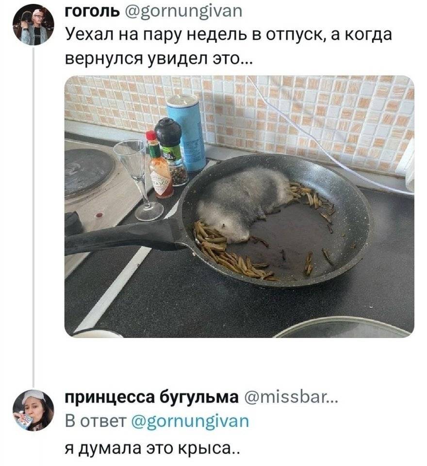 – Уехал на пару недель в отпуск, а когда вернулся увидел это...
– Я думала это крыса...