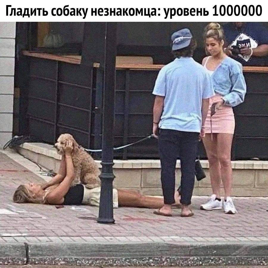 *Гладить собаку незнакомца: уровень 1000000*