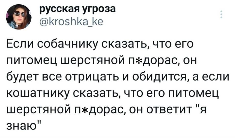 Если собачнику сказать, что его питомец шерстяной п*дорас, он будет все отрицать и обидится, а если кошатнику сказать, что его питомец шерстяной п*дорас, он ответит «я знаю». | Животные