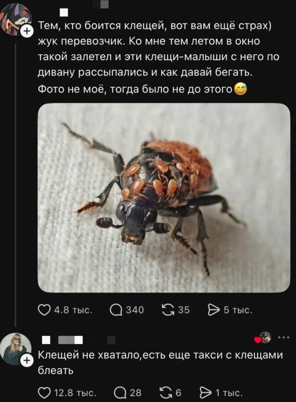 16855710.jpg