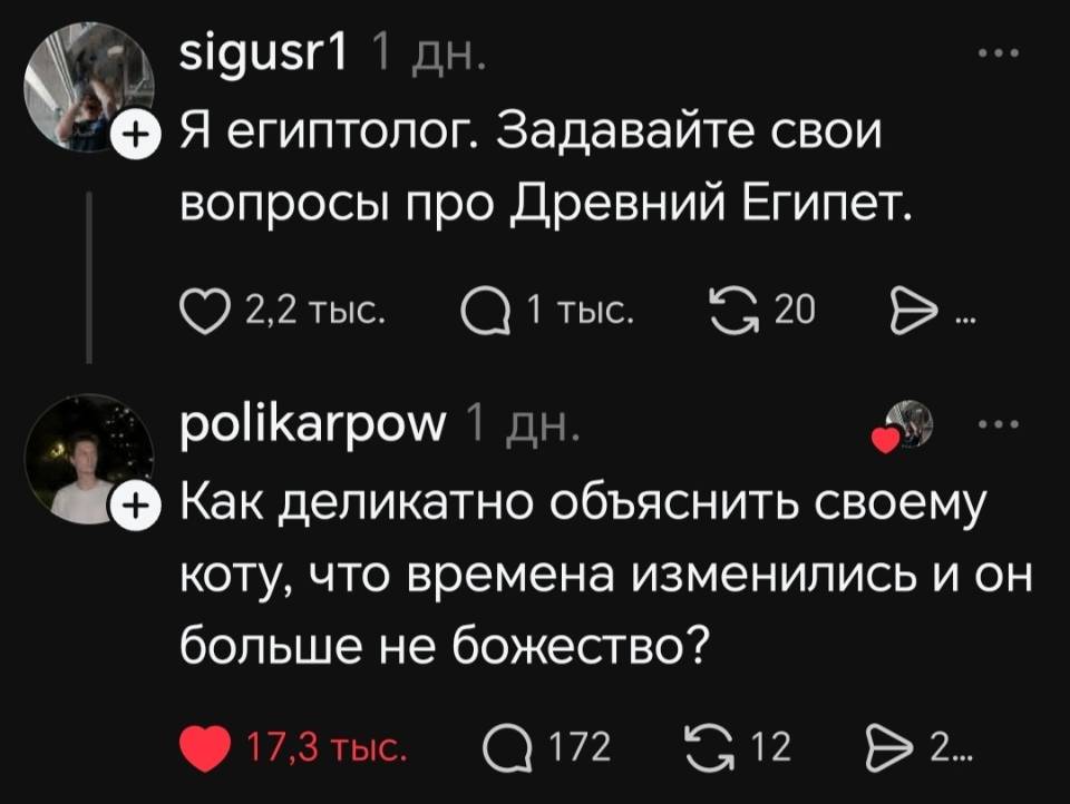 – Я египтолог. Задавайте свои вопросы про Древний Египет. 
– Как деликатно объяснить своему коту, что времена изменились и он больше не божество?