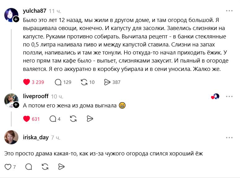 Драма в огороде | Животные