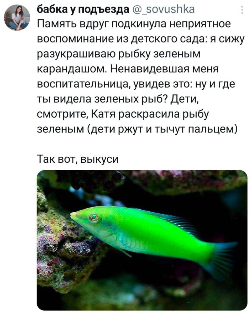 Память вдруг подкинула неприятное воспоминание из детского сада: я сижу разукрашиваю рыбку зеленым карандашом. Ненавидевшая меня воспитательница, увидев это: ну и где ты видела зеленых рыб? Дети, смотрите, Катя раскрасила рыбу зеленым (дети ржут и тычут пальцем). Так вот, выкуси!