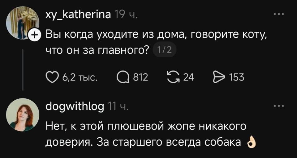– Вы когда уходите из дома, говорите коту, что он за главного?
– Нет, к этой плюшевой жопе никакого доверия. За старшего всегда собака.