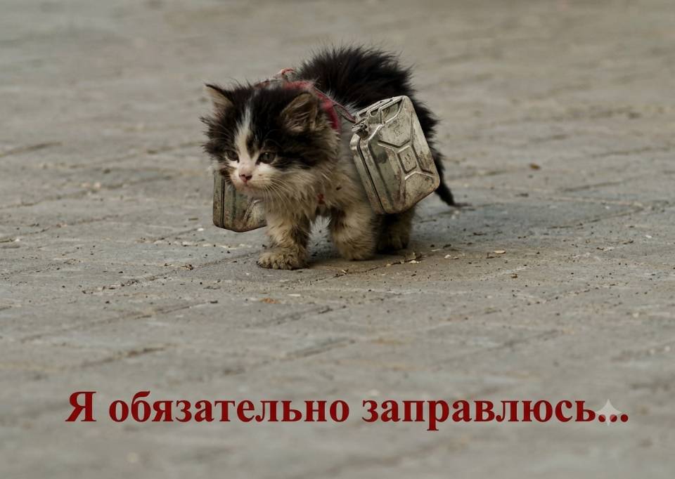 *Я обязательно заправлюсь....*