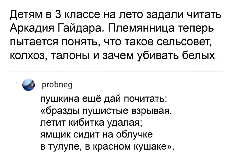 – Детям в 3 классе на лето задали читать Аркадия Гайдара. Племянница теперь пытается понять, что такое сельсовет, колхоз, талоны и зачем убивать белых.
– Пушкина ещё дай почитать:
«бразды пушистые взрывая,
летит кибитка удалая;
ямщик сидит на облучке
в тулупе, в красном кушаке».
