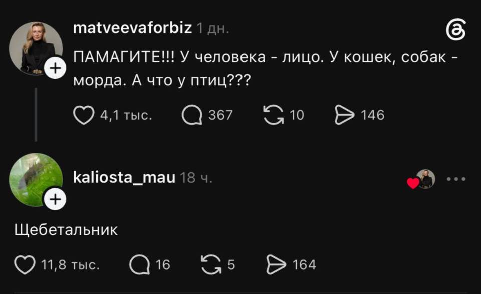 – ПАМАГИТЕ!!! У человека лицо. У кошек, собак — морда. А что у птиц???
– Щебетальник (Щебло).