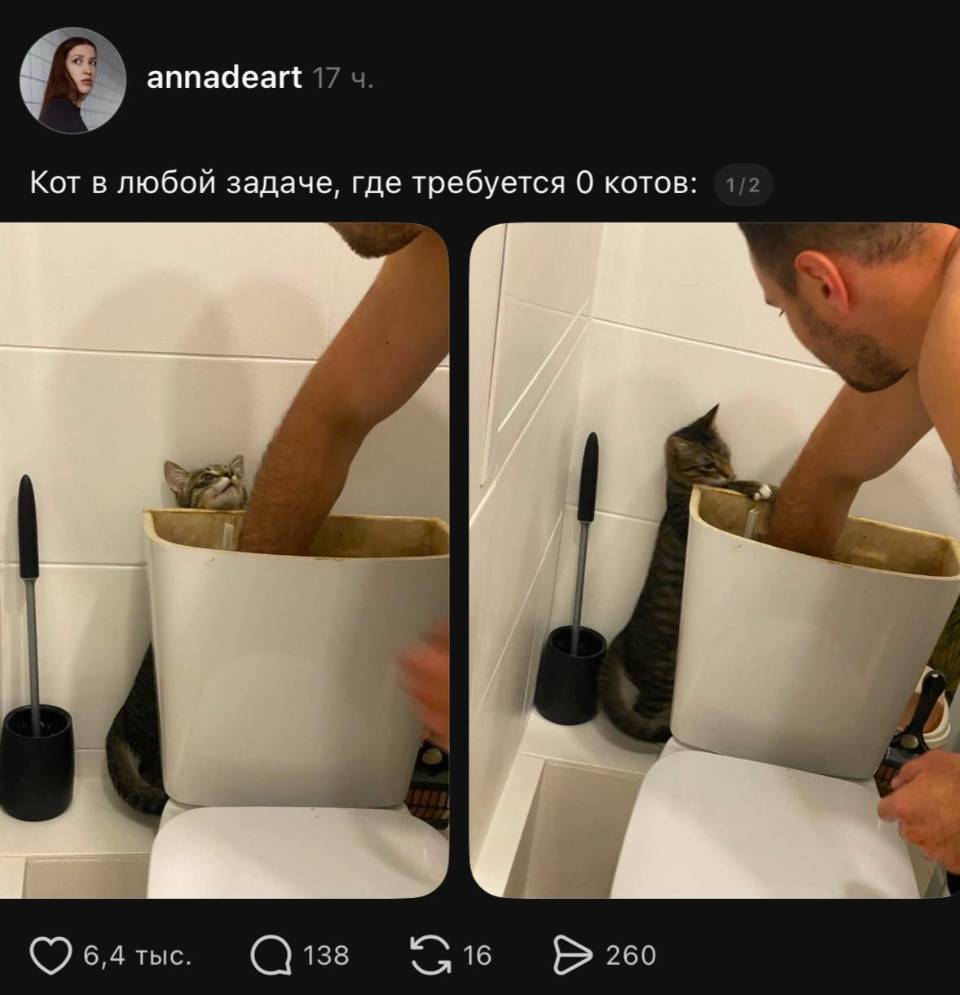 *Кот в любой задаче, где требуется о котов*