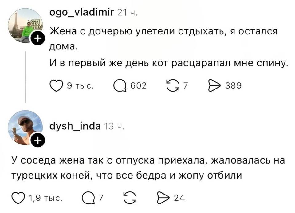 – Жена с дочерью улетели отдыхать, я остался дома. И в первый же день кот расцарапал мне спину.
– У соседа жена так с отпуска приехала, жаловалась на турецких коней, что все бедра и жопу отбили.