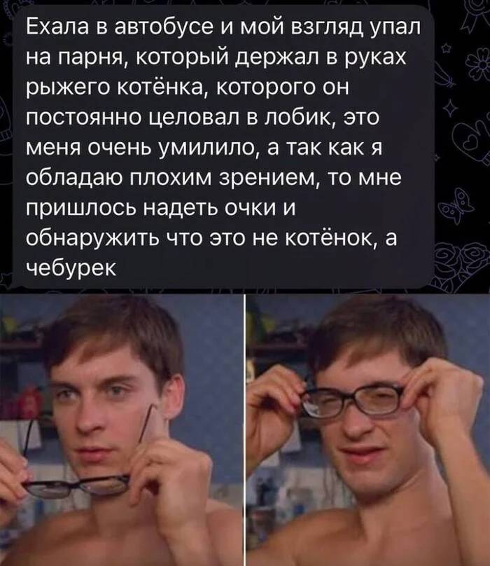 Сегодня ехала в автобусе и мой взгляд упал на парня, который держал в руках рыжего котёнка, которого он постоянно целовал в лобик, это меня очень умилило, а так как я обладаю плохим зрением, то мне пришлось надеть очки и обнаружить что это не котёнок, а чебурек.