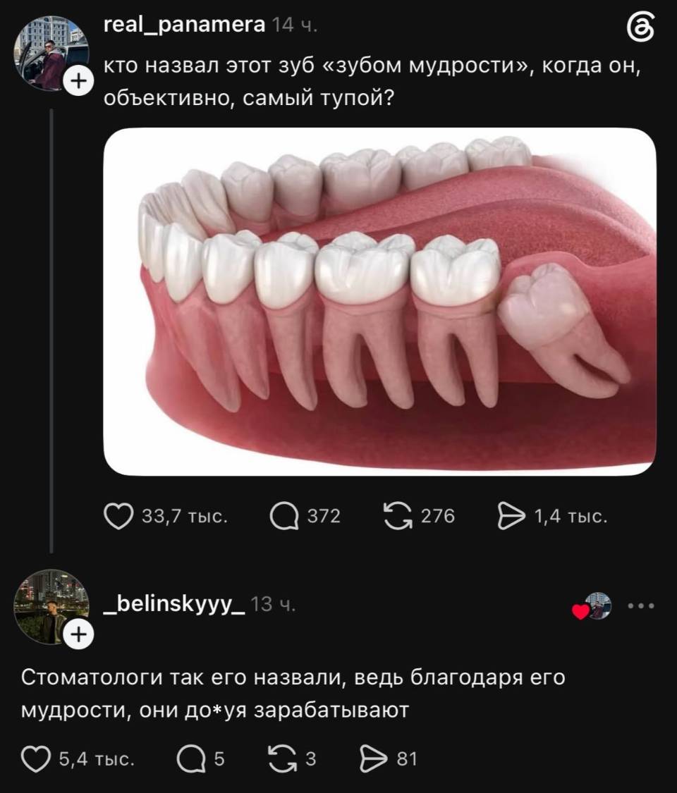 – Кто назвал этот зуб «зубом мудрости», когда он, объективно, самый тупой?
– Стоматологи так его назвали, ведь благодаря его мудрости, они дох*я зарабатывают.