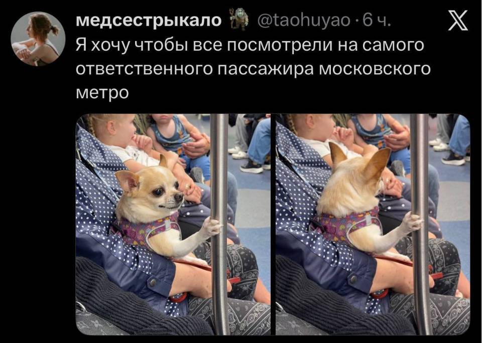 *Я хочу чтобы все посмотрели на самого ответственного пассажира московского метро*
