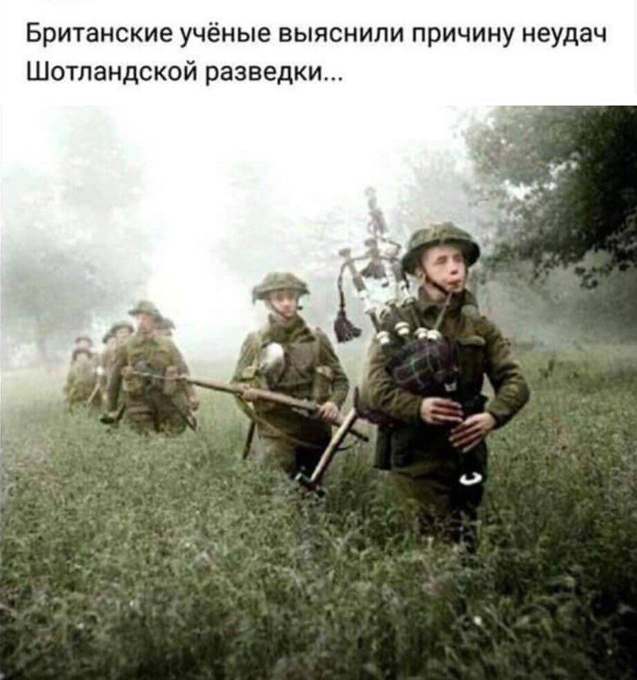 Британские учёные выяснили причину неудач Шотландской разведки...