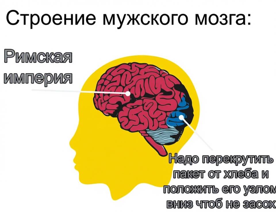 Строение мужского мозга:
*Римская империя*
*Недо перекрутить пакет от хлеба и положить его узлом вниз чтоб не засох*
