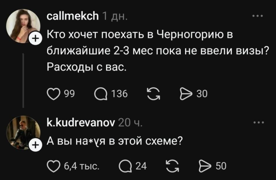 – Кто хочет поехать в Черногорию в ближайшие 2-3 мес пока не ввели визы? Расходы с вас.
– А вы на*уя в этой схеме?