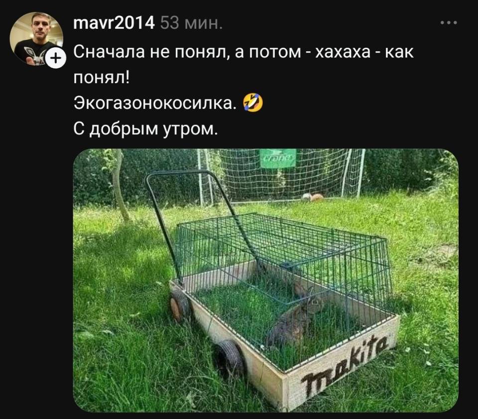 Сначала не понял, а потом – как понял!
Экогазонокосилка.
С добрым утром.