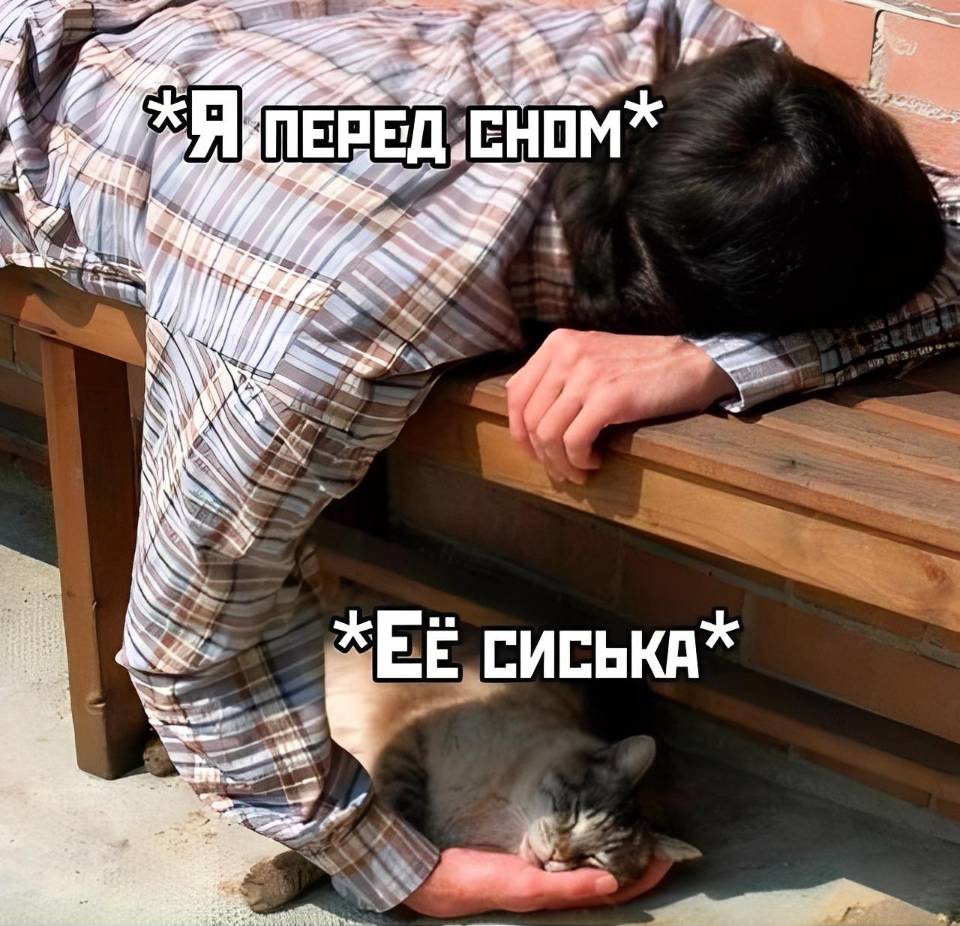 *Я перед сном*
*Её сиськи*