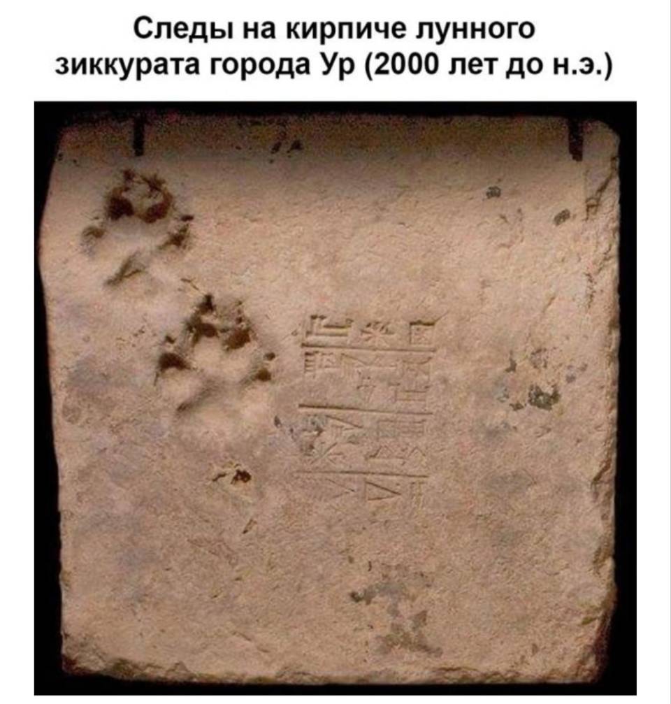 Следы на кирпиче лунного зиккурата города Ур (2000 лет до н. э.)