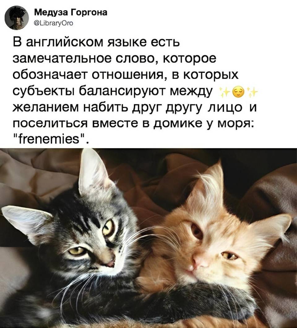 В английском языке есть замечательное слово, которое обозначает отношения, в которых субъекты балансируют между желанием набить друг другу морду и поселиться вместе в домике у моря: «Frenemies».