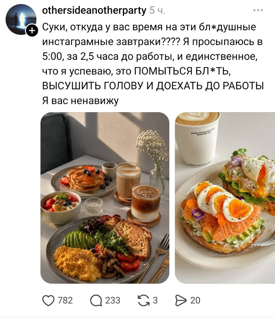 Суки, откуда у вас время на эти бл*душные инстаграмные завтраки???? Я просыпаюсь в 5:00, за 2,5 часа до работы, и единственное, что я успеваю, это ПОМЫТЬСЯ БЛ*ТЬ, ВЫСУШИТЬ ГОЛОВУ И ДОЕХАТЬ ДО РАБОТЫ. Я вас ненавижу.