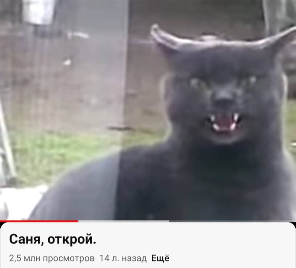 Саня, открой!