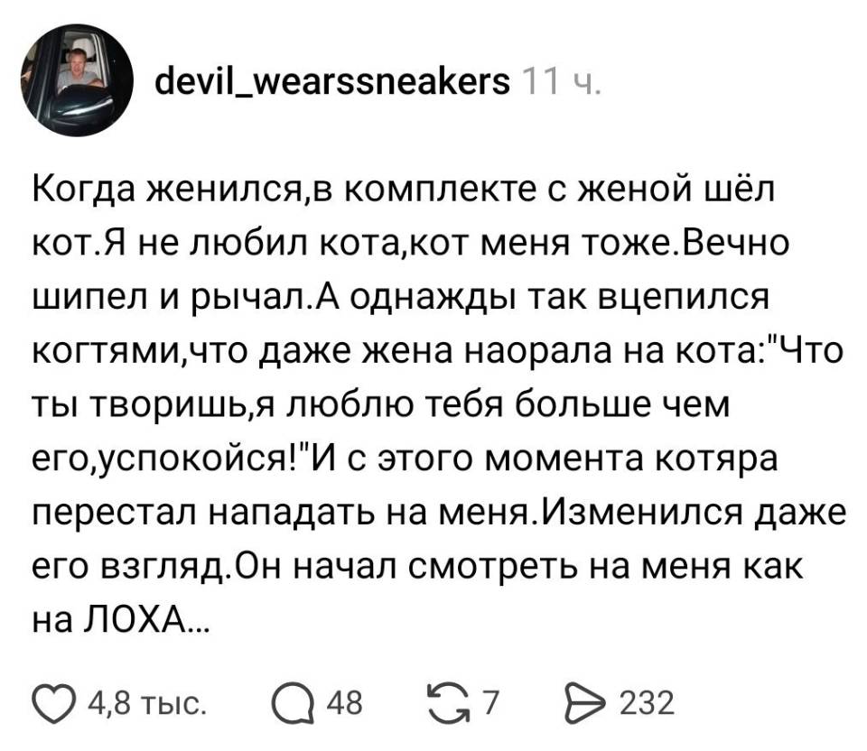 Когда женился, в комплекте с женой шёл кот. Я не любил кота, кот меня тоже. Вечно шипел и рычал. А однажды так вцепился когтями, что даже жена наорала на кота: Что ты творишь, я люблю тебя больше чем его, успокойся! И с этого момента котяра перестал нападать на меня. Изменился даже его взгляд. Он начал смотреть на меня как на ЛОХА...