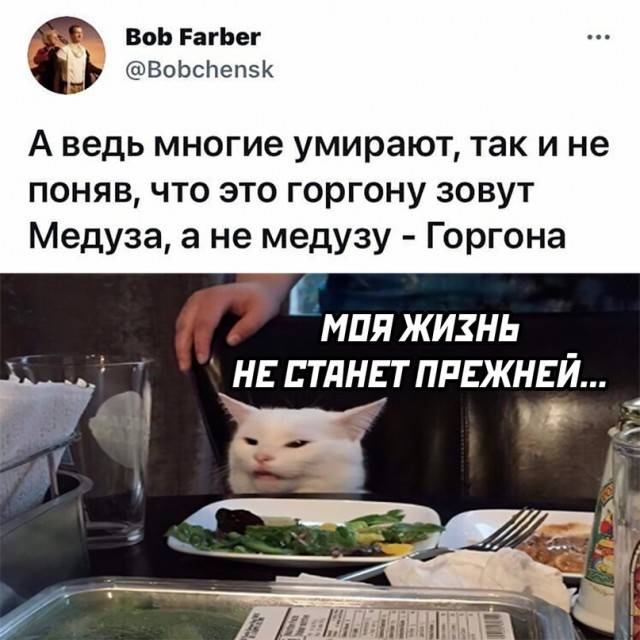 А ведь многие умирают, так и не поняв, что это горгону зовут Медуза, а не медузу — Горгона.