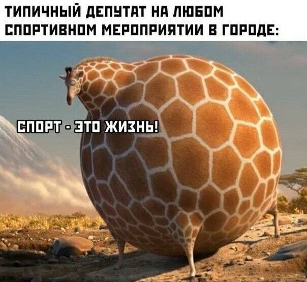 Типичный чиновник на любом спортивном мероприятии в городе:
*Спорт — это жизнь!*