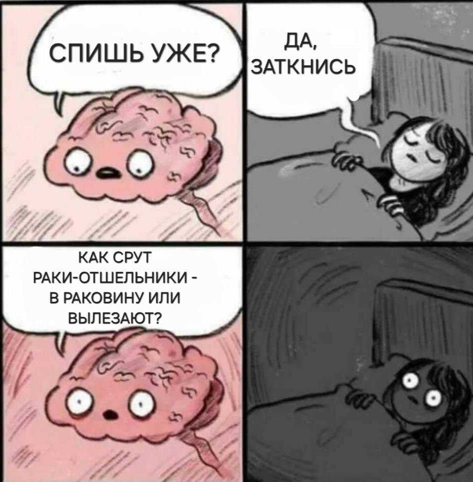 Мозг:
– Спишь?
Я:
– Да, заткнись.
Мозг:
– Как срут раки-отшельники – в раковину или вылезают?
Я:
– О_О