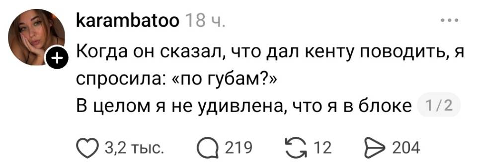 Когда он сказал, что дал кенту поводить, я спросила: «По губам?» В целом я не удивлена, что я в блоке.
