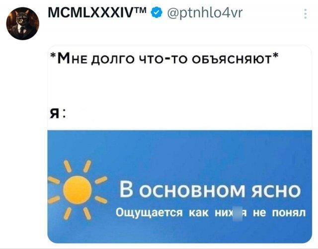 *Мне долго что-то объясняют*
Я: В основном ясно. Ощущается как них*я не понял...