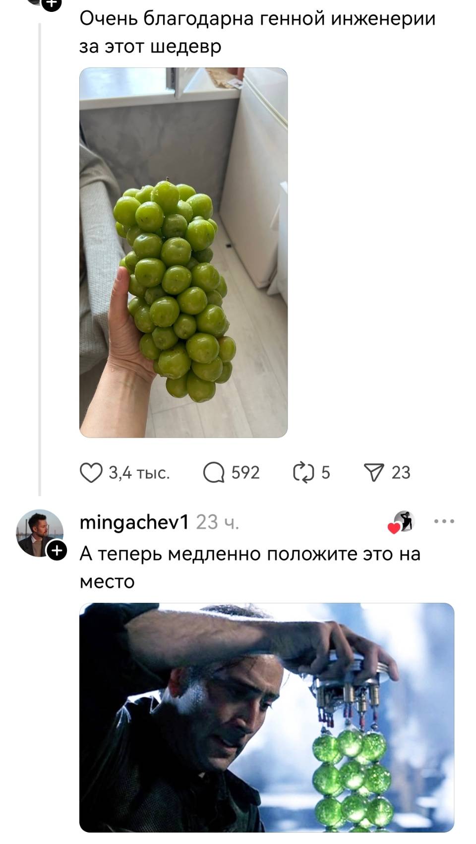 – Очень благодарна генной инженерии за этот шедевр.
– А теперь медленно положите это на место.