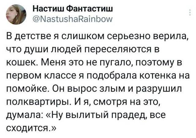 В детстве я слишком серьезно верила, что души людей переселяются в кошек. Меня это не пугало, поэтому в первом классе я подобрала котенка на помойке. Он вырос злым и разрушил полквартиры. И я, смотря на это, думала: «Ну вылитый прадед, всё сходится».