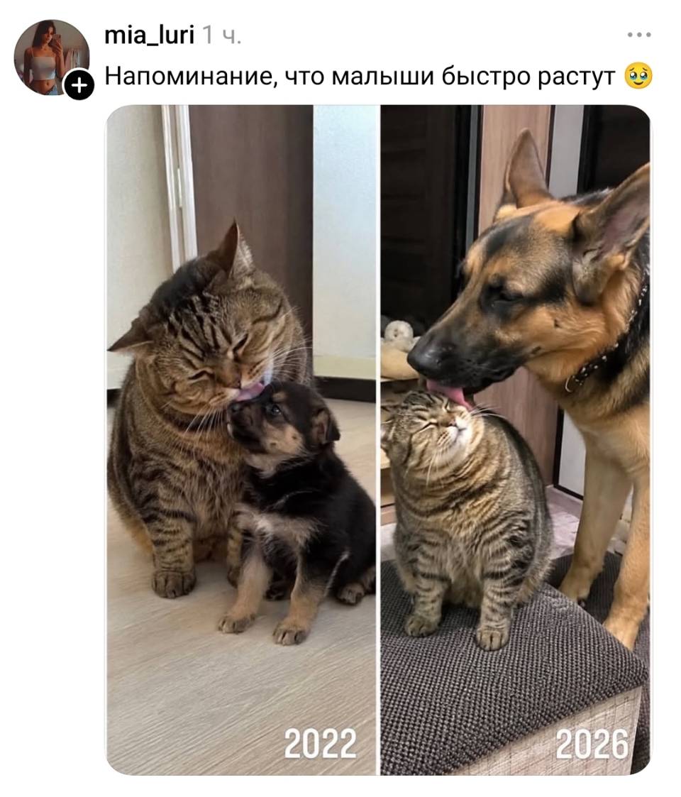Напоминание, что малыши быстро растут.
