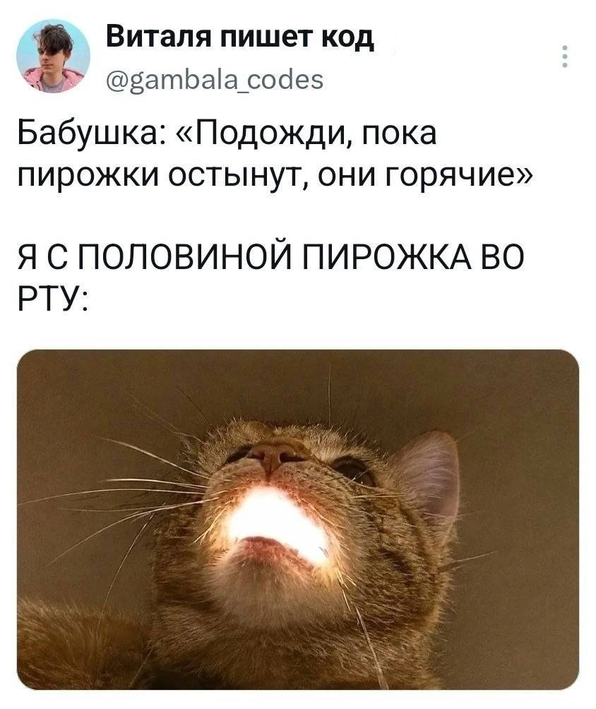 Бабушка: «Подожди, пока пирожки остынут, они горячие».
*Я С ПОЛОВИНОЙ ПИРОЖКА ВО РТУ*