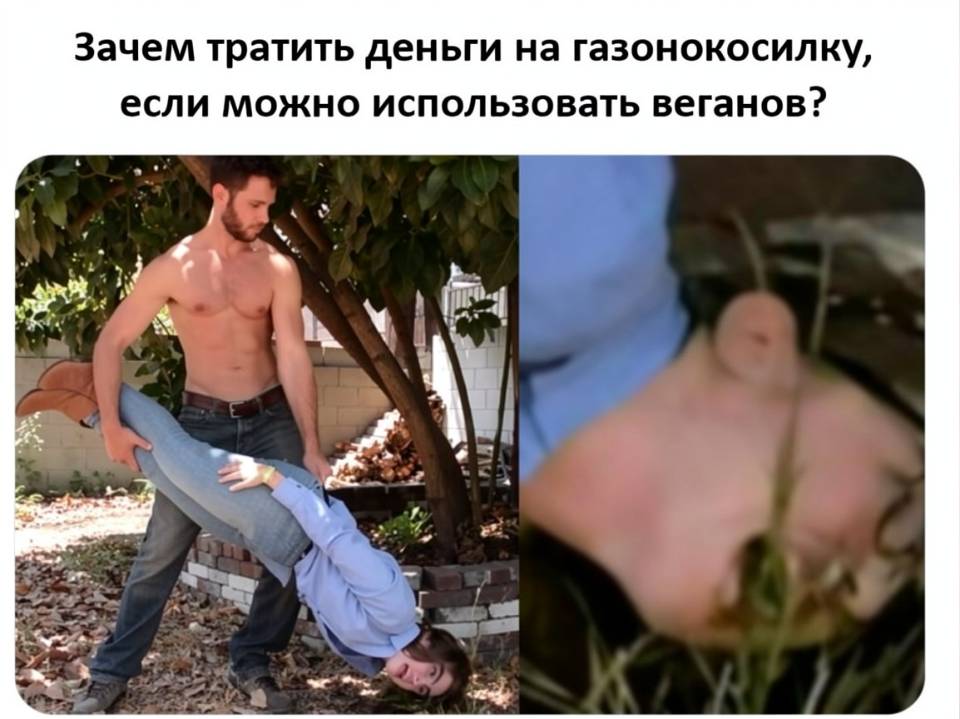 Зачем тратить деньги на газонокосилку, если можно использовать веганов?