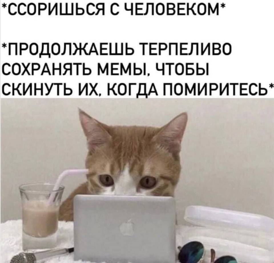 *ССОРИШЬСЯ С ЧЕЛОВЕКОМ*
*ПРОДОЛЖАЕШЬ ТЕРПЕЛИВО СОХРАНЯТЬ МЕМЫ, ЧТОБЫ СКИНУТЬ ИХ, КОГДА ПОМИРИТЕСЬ*