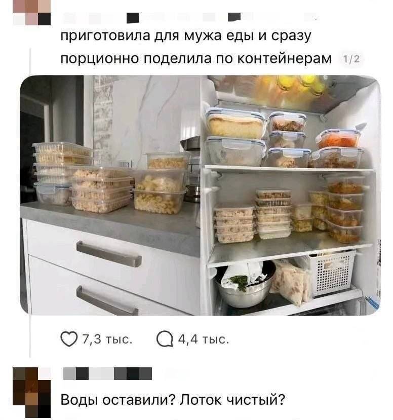 – Приготовила для мужа еды и сразу порционно поделила по контейнерам.
– Воды оставили? Лоток чистый?