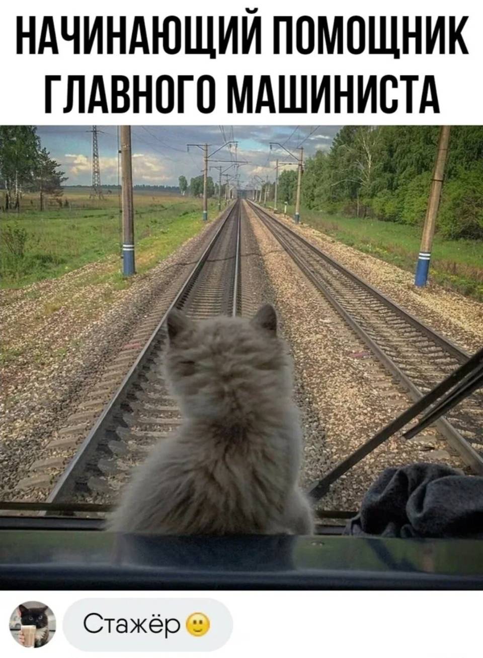 *НАЧИНАЮЩИЙ ПОМОЩНИК ГЛАВНОГО МАШИНИСТА*
– Стажёр.