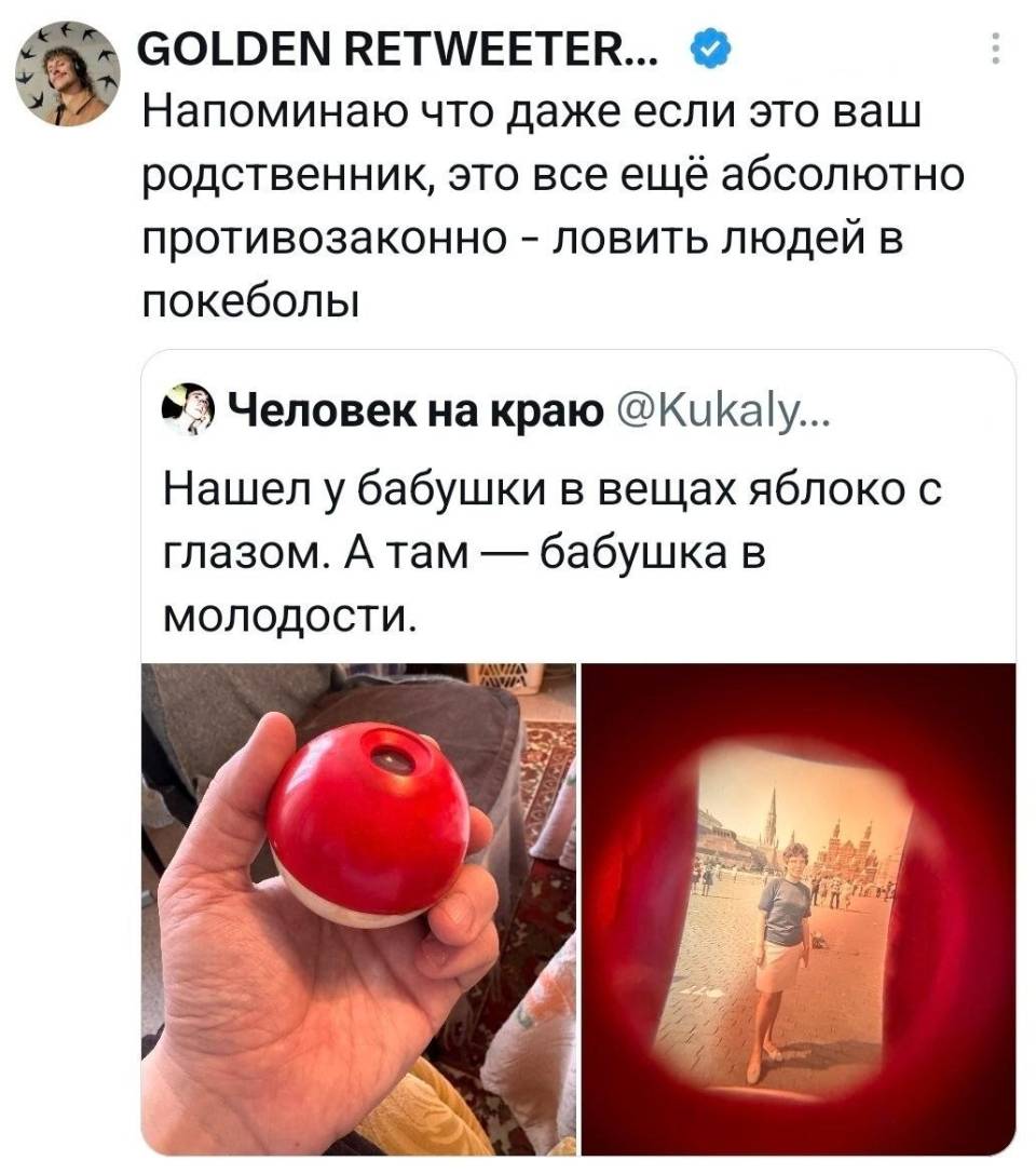 – Нашёл у бабушки в вещах яблоко с глазом. А там — бабушка в молодости.
– Напоминаю что даже если это ваш родственник, это все ещё абсолютно противозаконно — ловить людей в покеболы.