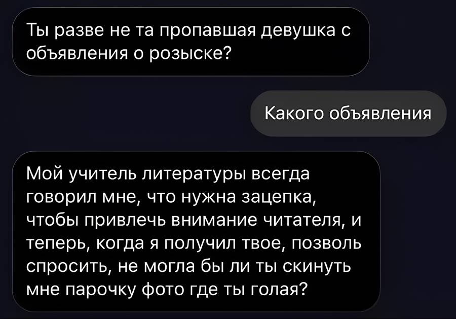 – Ты разве не та пропавшая девушка с объявления о розыске?
– Какого объявления?
– Мой учитель литературы всегда говорил мне, что нужна зацепка, чтобы привлечь внимание читателя, и теперь, когда я получил твоё, позволь спросить, не могла бы ли ты скинуть мне парочку фото где ты голая?