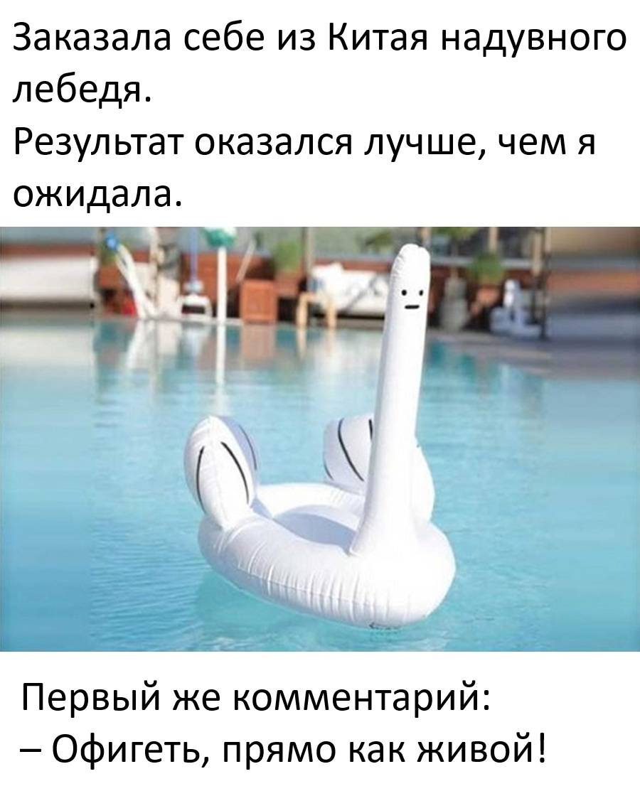 Заказала себе из Китая надувного лебедя. Результат оказался лучше, чем я ожидала.
Первый же комментарий:
– Офигеть, прямо как живой.