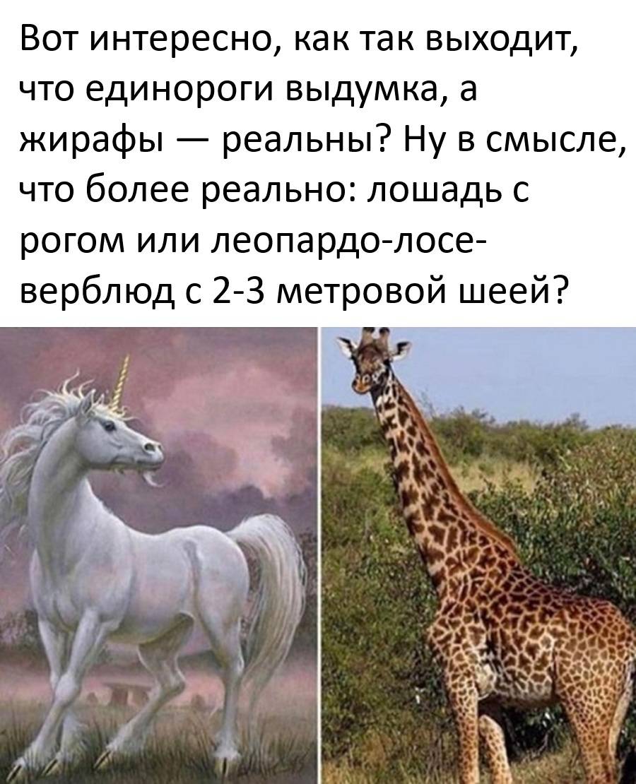 Вот интересно, как так выходит, что единороги выдумка, а жирафы — реальны? Ну в смысле, что более реально: лошадь с рогом или леопардо-лосе-верблюд с 2-3 метровой шеей?