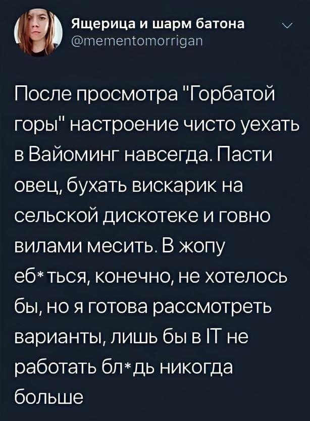 После просмотра «Горбатой горы» настроение — чисто уехать в Вайоминг навсегда. Пасти овец, бухать вискарик на сельской дискотеке и говно вилами месить. В жопу ебться, конечно, не хотелось бы, но я готова рассмотреть варианты, лишь бы в IT не работать блдь никогда больше.