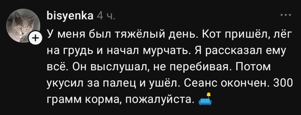 У меня был тяжёлый день. Кот пришёл, лёг на грудь и начал мурчать. Я рассказал ему всё. Он выслушал, не перебивая. Потом укусил за палец и ушёл. Сеанс окончен. 300 грамм корма, пожалуйста.