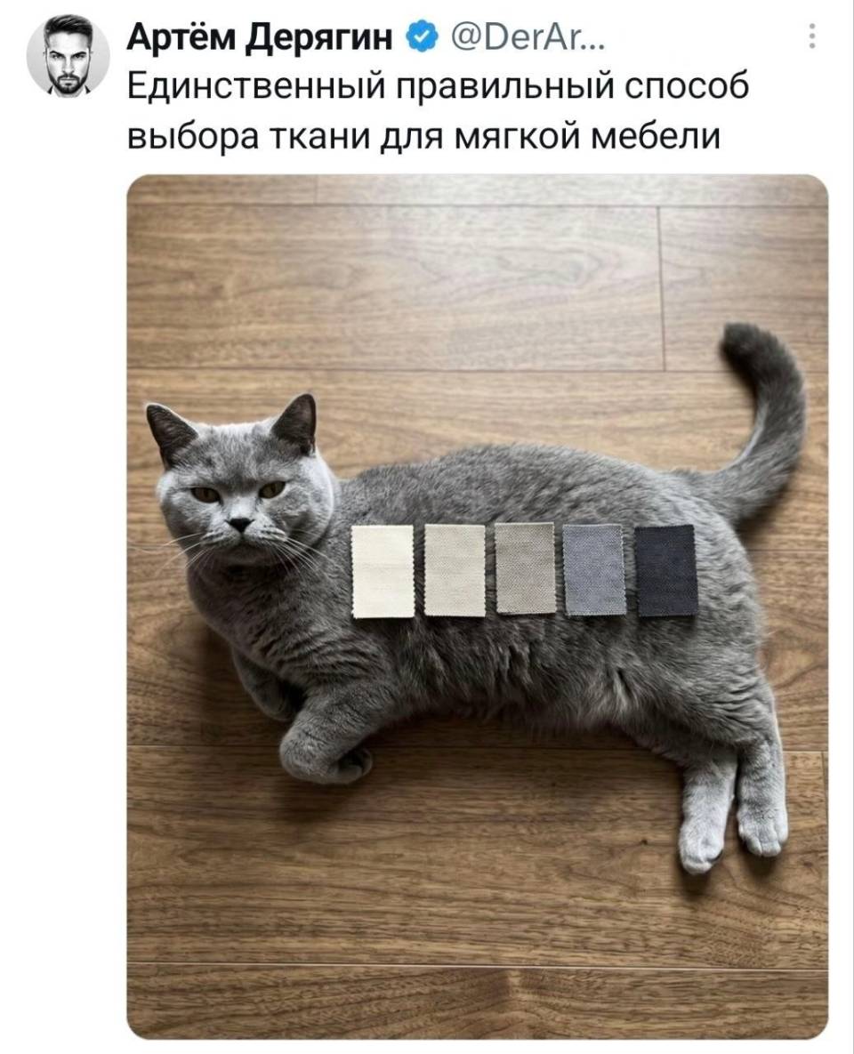 *Единственный правильный способ выбора ткани для мягкой мебели.*