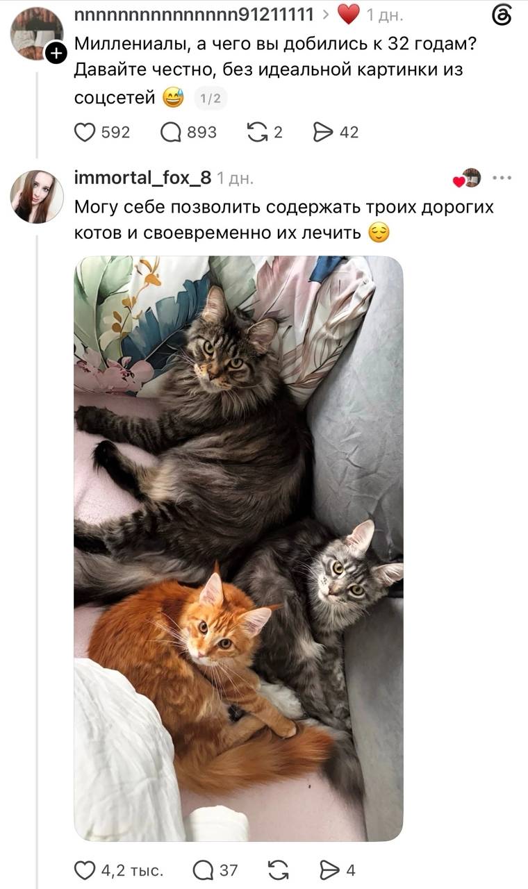 – Миллениалы, а чего вы добились к 32 годам? Давайте честно, без идеальной картинки из соцсетей.
– Могу себе позволить содержать троих дорогих котов и своевременно их лечить.